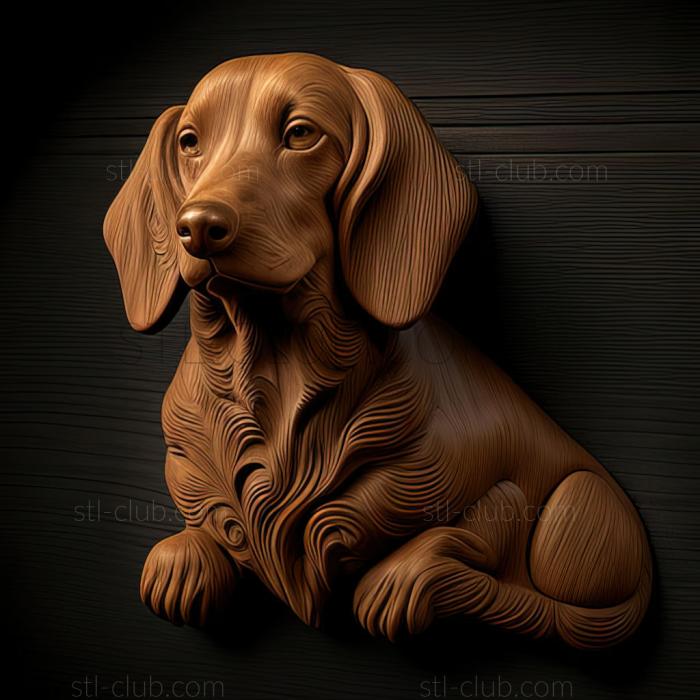 st Alpine Dachshund Hound dog